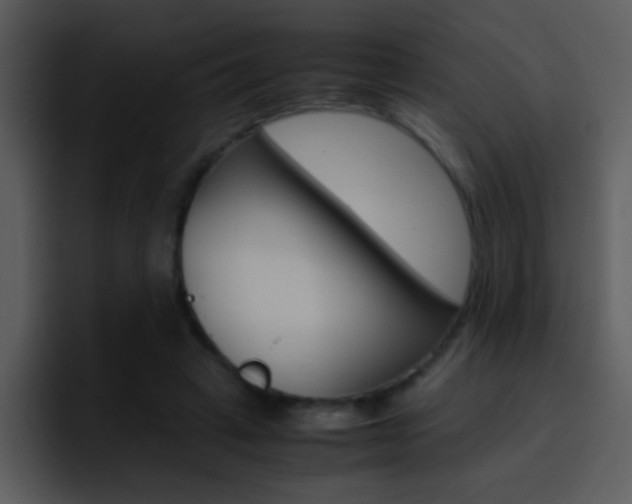 X0000096980449200802080902