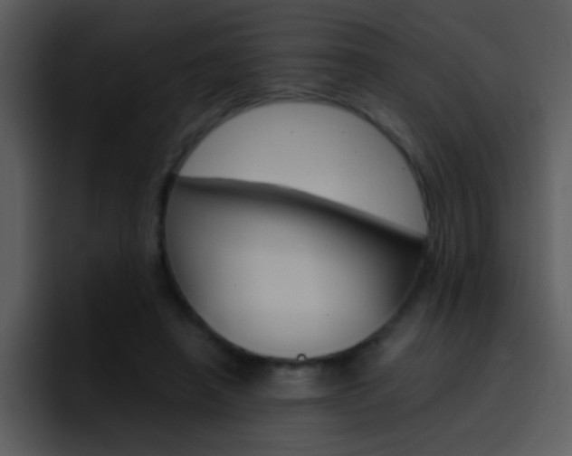 X0000096980450200802080902