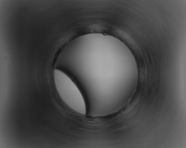 X0000096980451200802080902