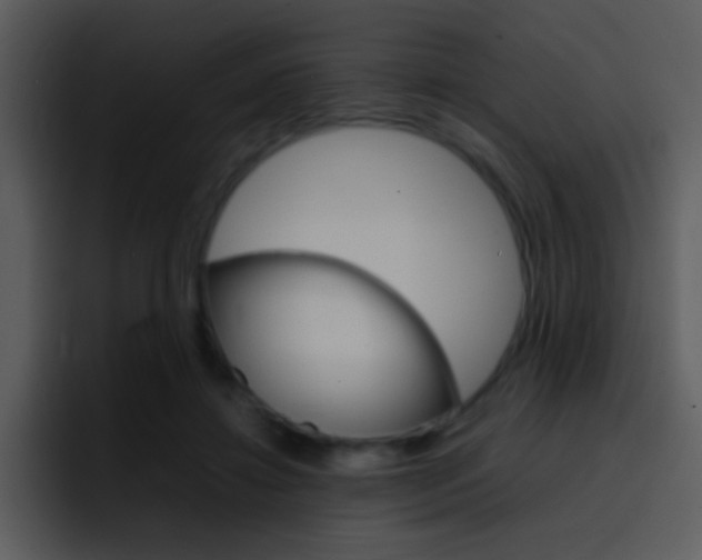 X0000096980452200802080902