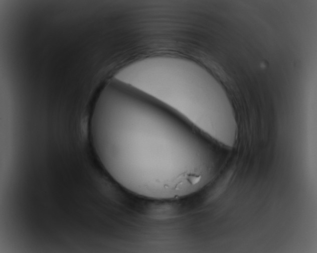 X0000096980454200802080902