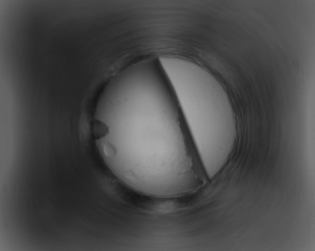 X0000096980456200802080903