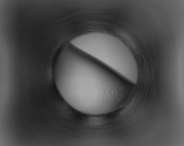 X0000096980457200802080903