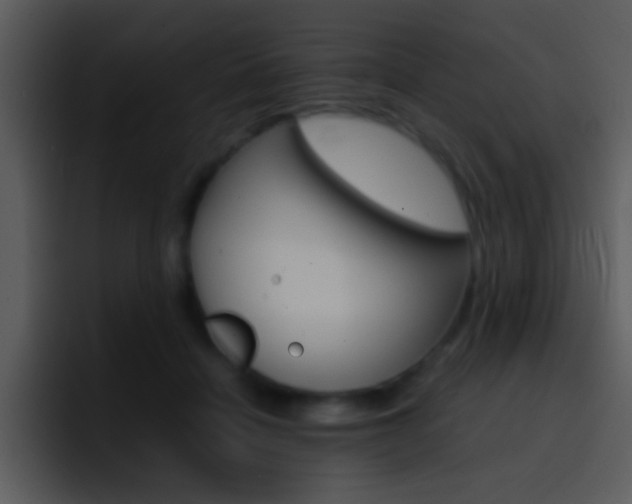 X0000096980460200802080903