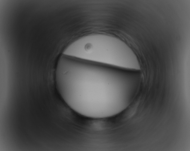 X0000096980462200802080903