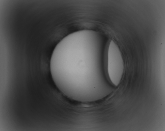 X0000096980464200802080903