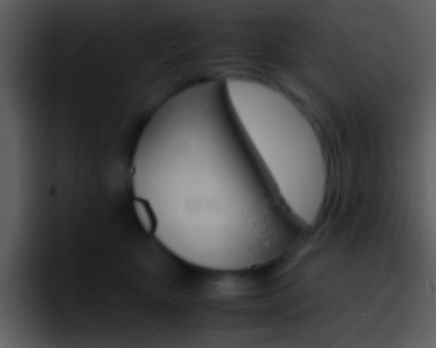 X0000096980467200802080903