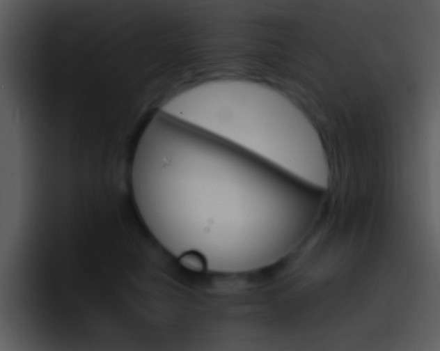 X0000096980470200802080903