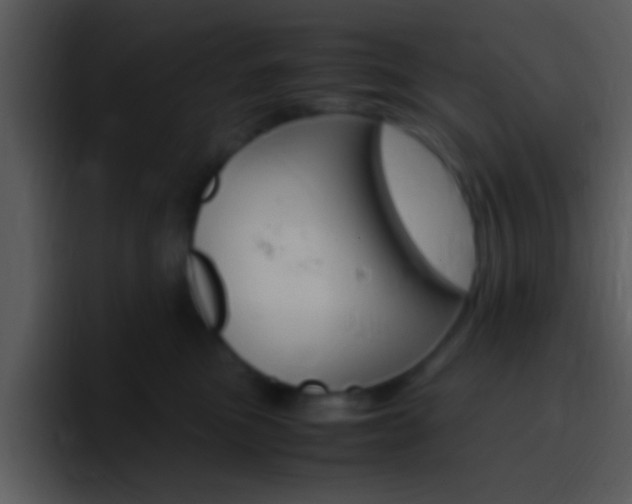 X0000096980473200802080903