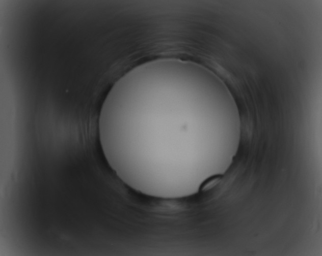 X0000096980475200802080903