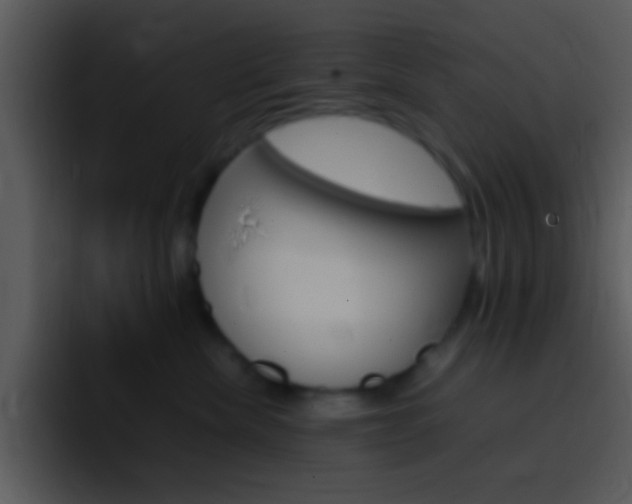 X0000096980476200802080903