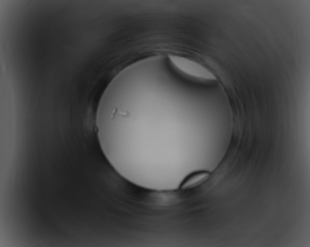 X0000096980477200802080903