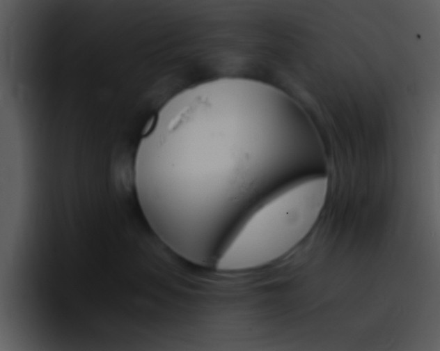 X0000096980479200802080903