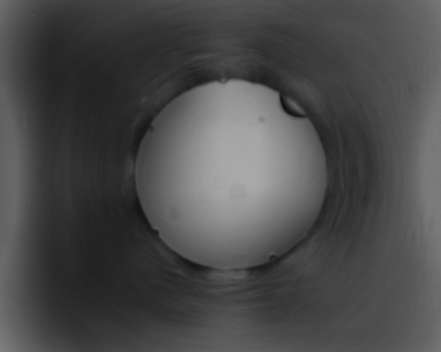 X0000096980480200802080903