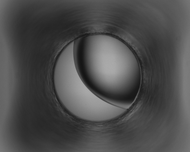 X0000096980481200802080902