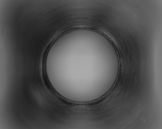 X0000096980482200802080902