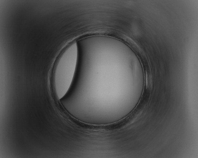 X0000096980483200802080902