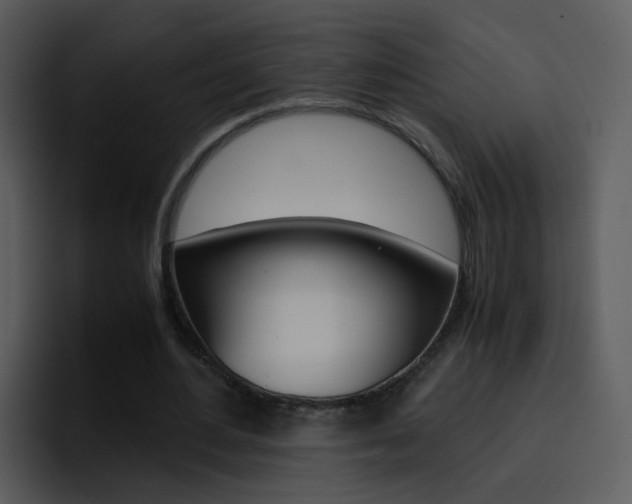 X0000096980484200802080902