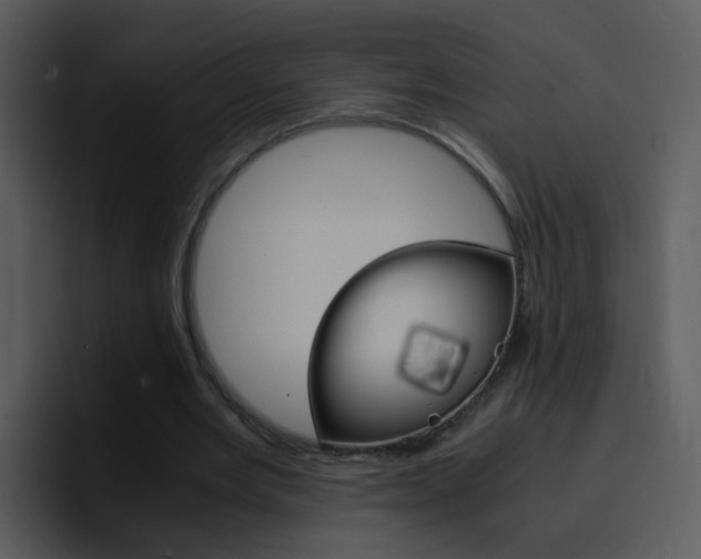 X0000096980485200802080902