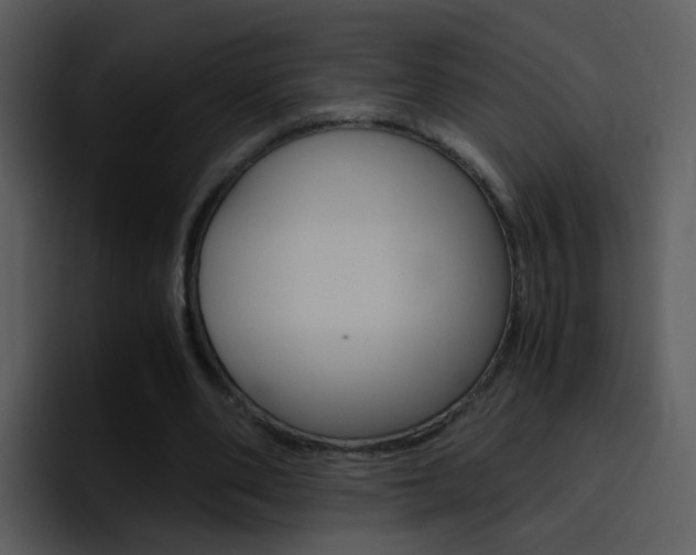X0000096980486200802080902