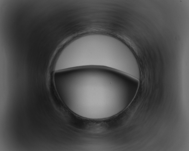 X0000096980488200802080902