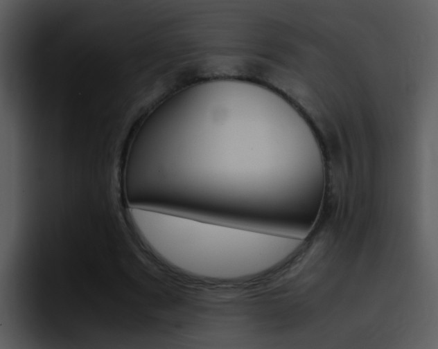 X0000096980489200802080902
