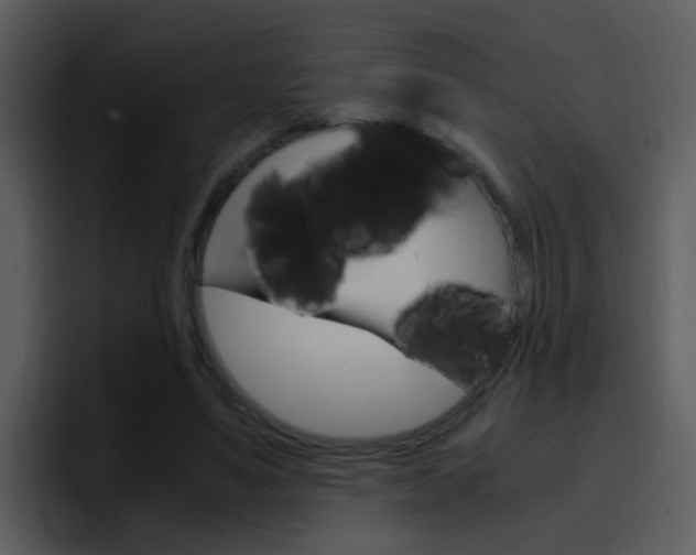 X0000096980491200802080902