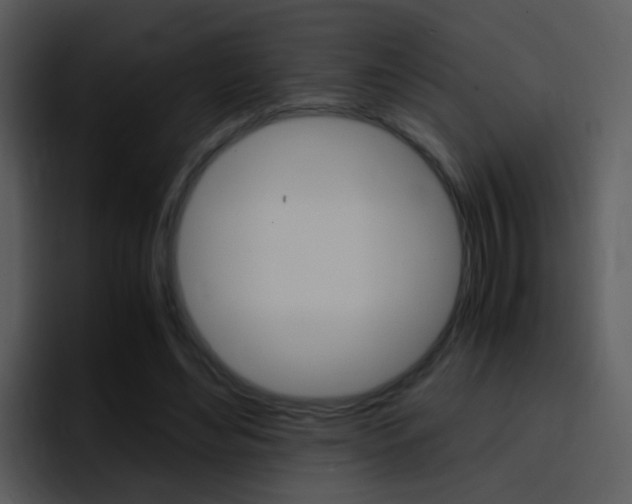 X0000096980492200802080902