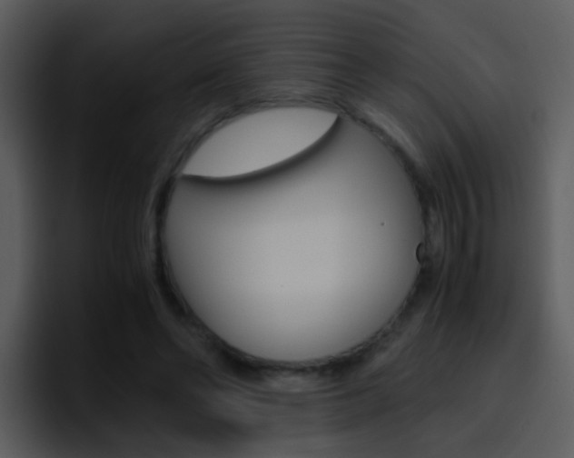 X0000096980494200802080902