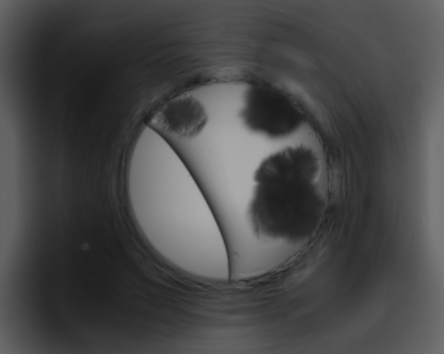 X0000096980495200802080902
