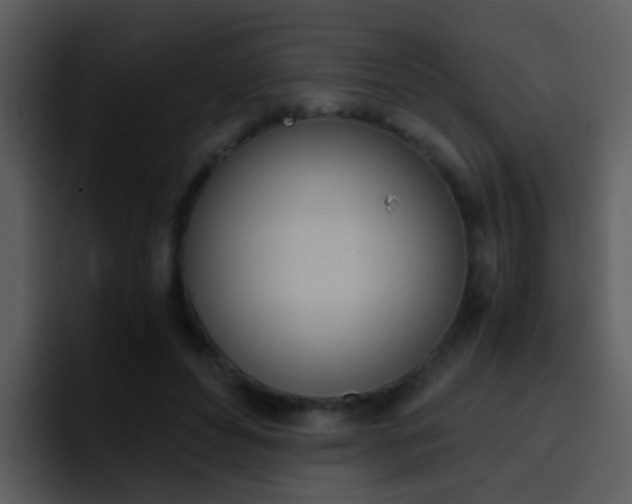 X0000096980496200802080902