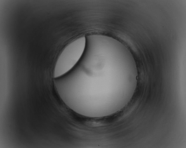 X0000096980498200802080902