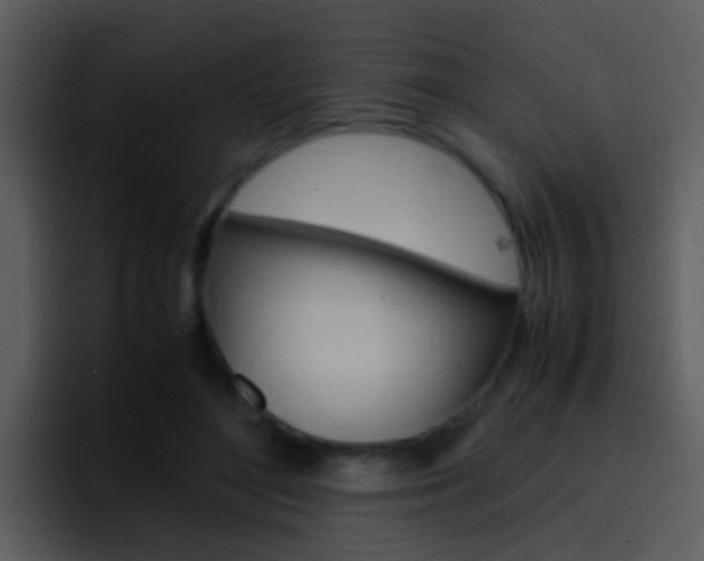 X0000096980500200802080902