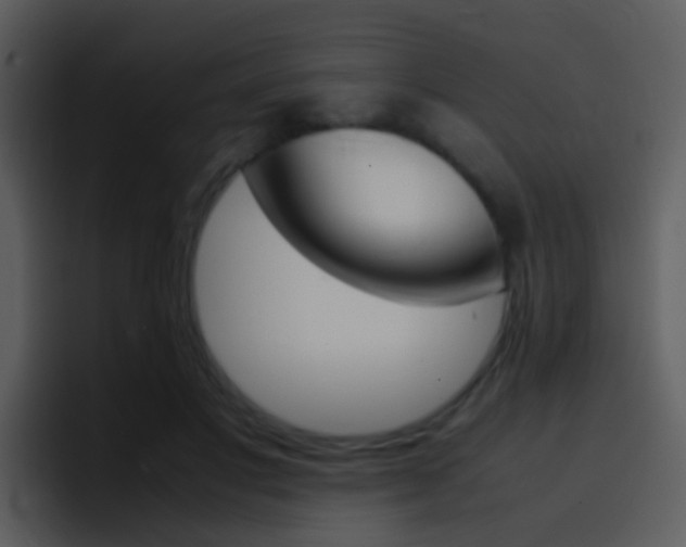 X0000096980501200802080902