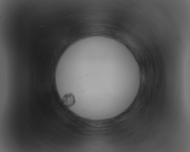 X0000096980502200802080902