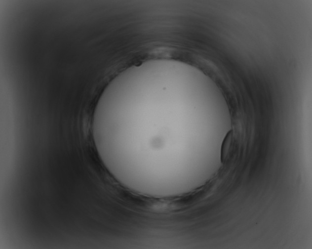 X0000096980504200802080902