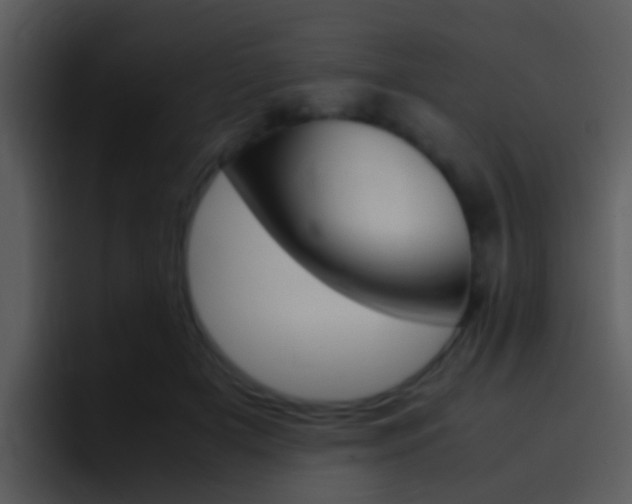 X0000096980505200802080902