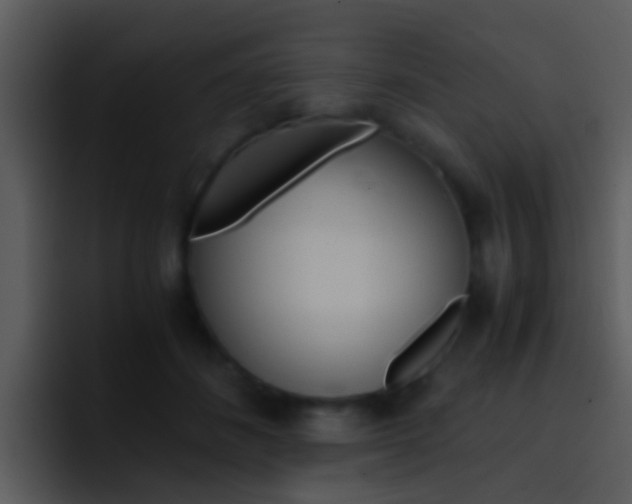 X0000096980508200802080902