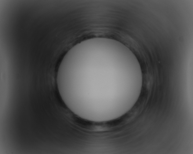 X0000096980510200802080902