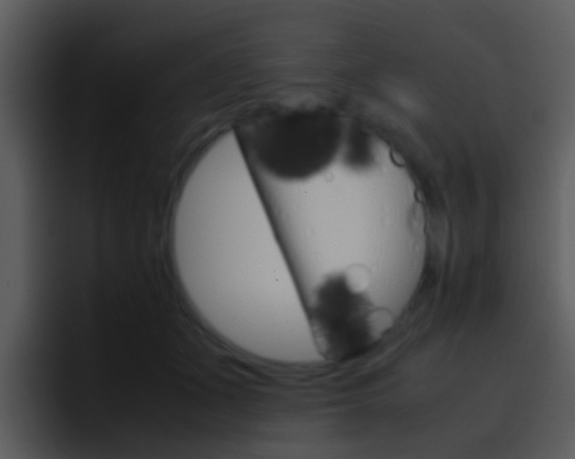 X0000096980511200802080902
