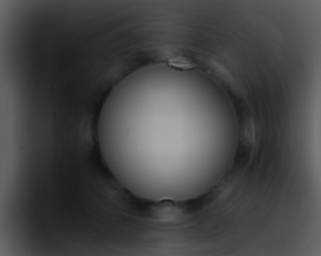 X0000096980512200802080902