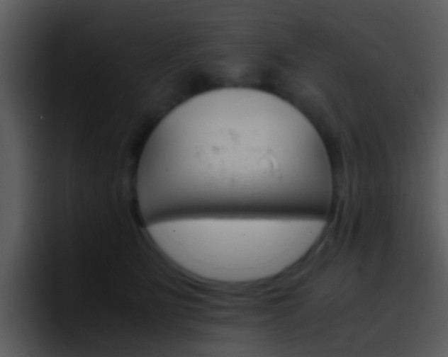 X0000096980515200802080902