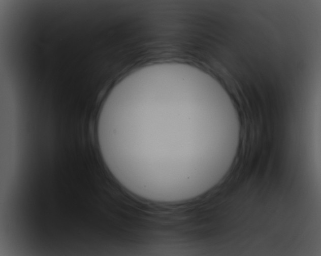 X0000096980516200802080902