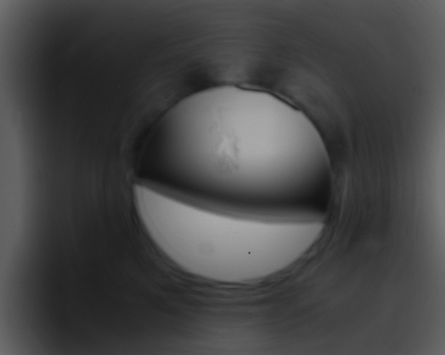 X0000096980521200802080902
