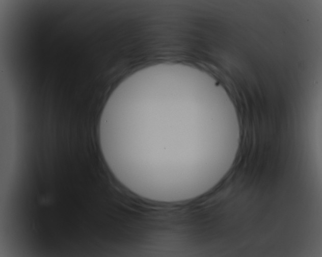 X0000096980523200802080902
