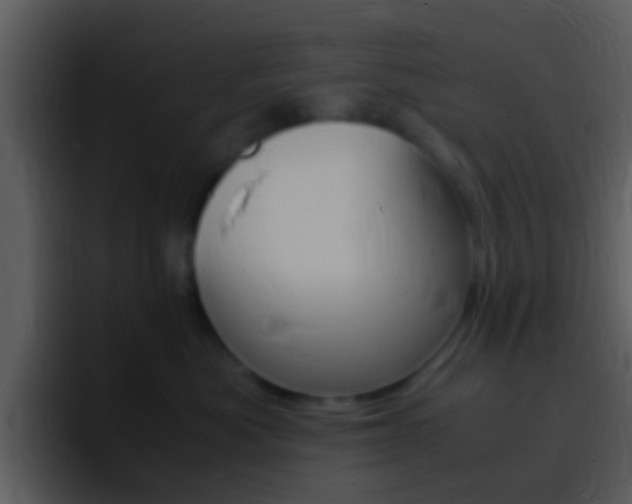 X0000096980525200802080902