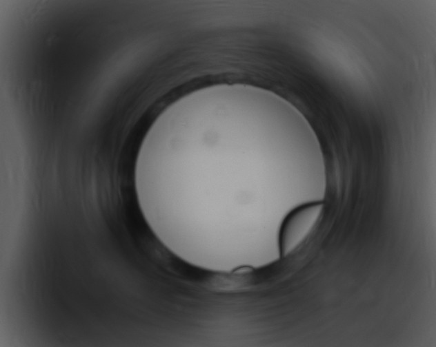 X0000096980526200802080902