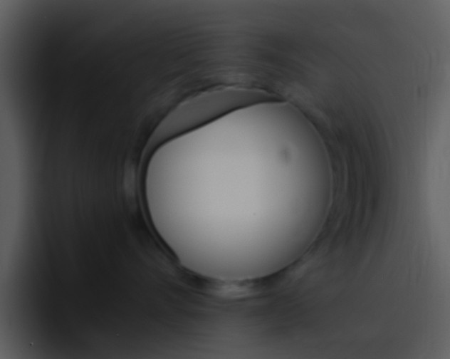 X0000096980528200802080902