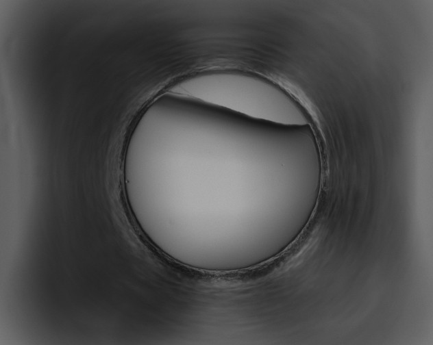 X0000096980529200802080901