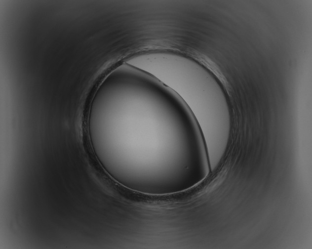 X0000096980530200802080901